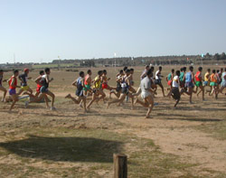 Cross-country : au nom de Doukkali