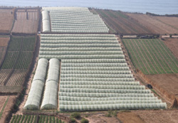 L’agriculture ralentit l’économie nationale