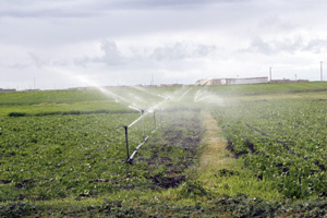 Berkane : Rencontre sur le programme national d’économie d’eau d’irrigation