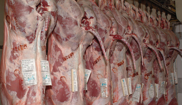 Animaux de boucherie : renforcement des modalités d’examen