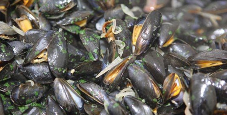 Safi: Interdiction de la récolte et de la commercialisation des coquillages