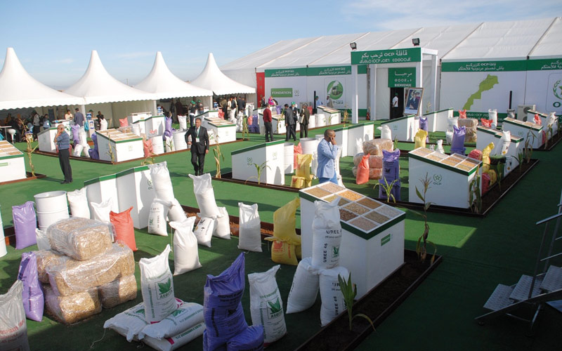 «Caravane OCP Maraîchage de saison 2014»: Chaouia-Ouardigha ouvre le bal