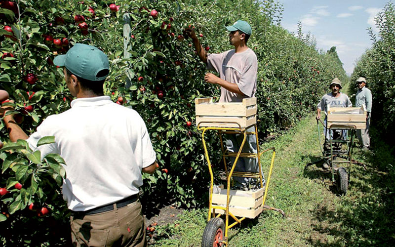 Campagne agricole 2014-2015: Jackpot pour le Maroc