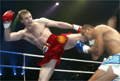 Le Maroc s’illustre en Ukraine