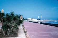 Bouznika Marina : le cap est maintenu