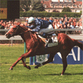 Le Hippisme en fête à Rabat
