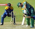 Le cricket à l’honneur