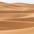 La traversée du désert