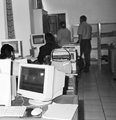 Licence et Master sous la loupe