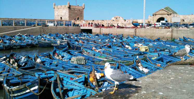 Débarquements de pêche: Plus de 47 millions de dirhams à Essaouira