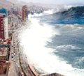 Tsunami rebat les cartes