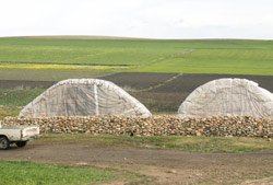 Télex : Pour une agriculture durable