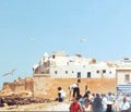 Mogador met à niveau son habitat