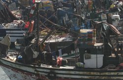 Un énième plan pour sauver la pêche