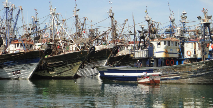 Hausse de 5% des débarquements de la pêche côtière et artisanale à fin août 2017