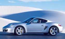 Porsche Cayman : Reptile de route