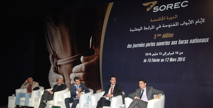 La SOREC corrige les pratiques des professionnels de l’élevage équin