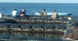 Pêche : cap sur l’aquaculture