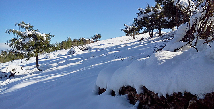 Alerte météo : importantes chutes de neige sur le Royaume