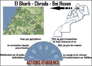 Agriculture : 99 MDH pour la reconversion des cultures