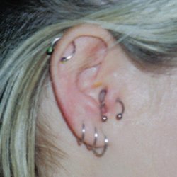Le piercing… perce au Maroc