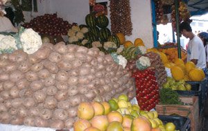 Agadir : Le SIFEL ambitionne d’attirer 45.000 visiteurs