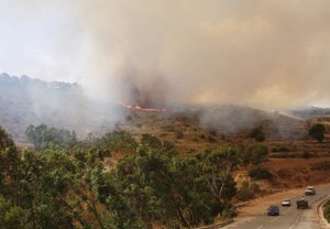 Al Hoceima : Poursuite des efforts pour circonscrire le feu ayant ravagé plusieurs hectares