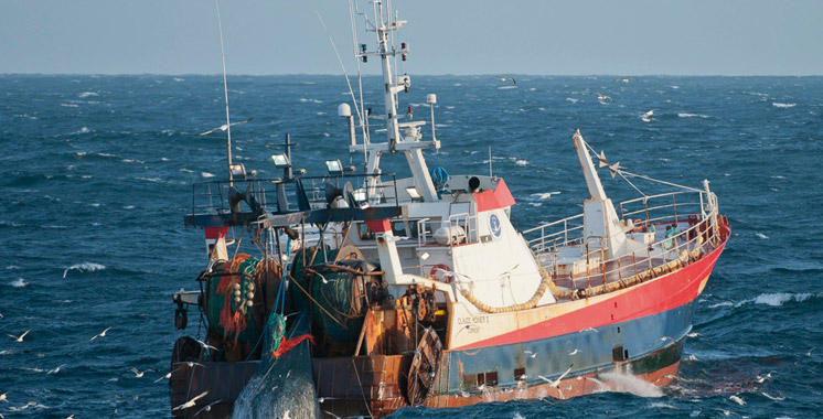 Pêche côtière et artisanale : Les débarquements avoisinent les 4 milliards de dirhams à fin juillet