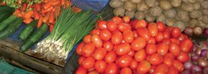 De nouvelles perspectives pour la commercialisation des produits agricoles