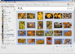 High-Tech : Un bon logiciel pour la photo numérique
