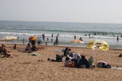 Tamaris, la plage et le net