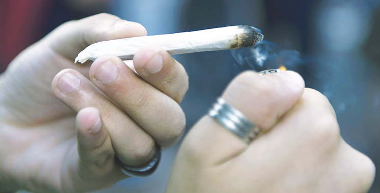 Italie: proposition de loi sur la légalisation du cannabis