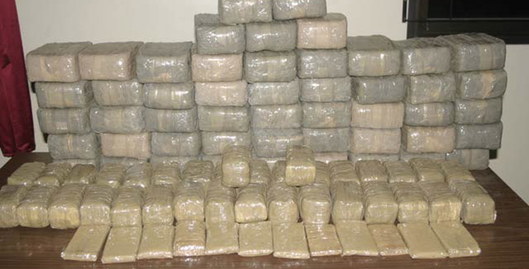 Casablanca : 4 tonnes de drogue détectées grâce aux chiens renifleurs