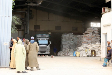 Orge subventionné: 400.000 quintaux en cours de distribution dans l’Oriental