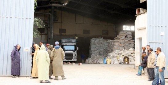 Orge subventionné: 400.000 quintaux en cours de distribution dans l’Oriental