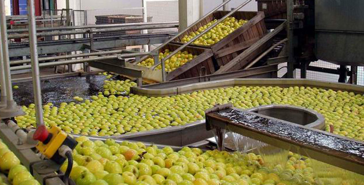 De la pomme à la pomme transformée : Le pommier veut se faire une place dans l’industrie