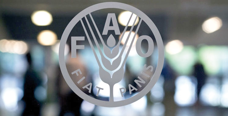 Réunion à Tunis du bureau de la FAO pour l’Afrique du Nord