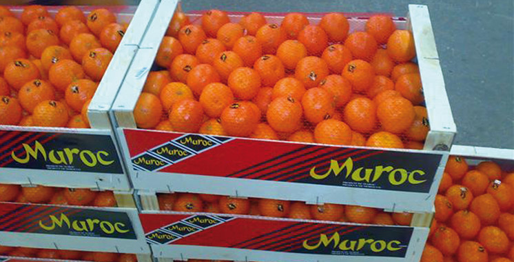 http://aujourdhui.ma/wp-content/uploads/2016/06/Oranges-agrumes-marocains.jpg?x29840