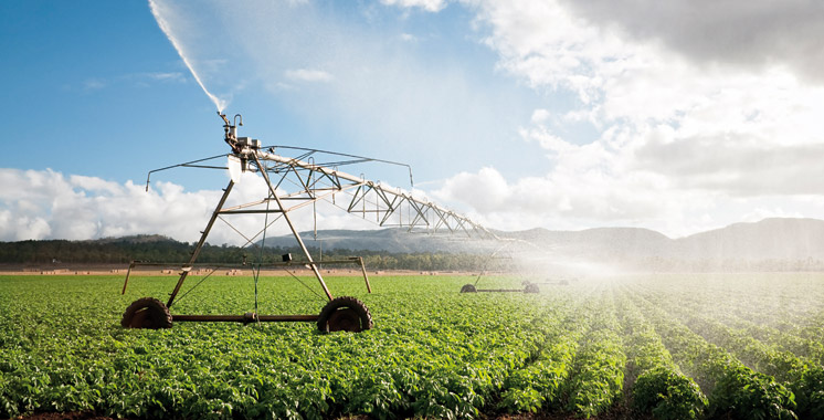 Saiss : 207 millions de dollars pour la modernisation du système d’irrigation