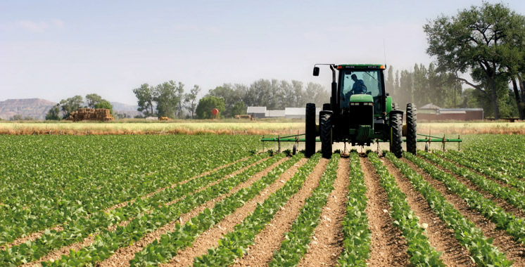 COP22 : L’agriculture doit être intégrée dans les débats