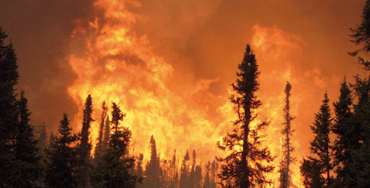 Lutte contre les incendies de forêt : Lhafi consacre 192 millions DH au programme 2016
