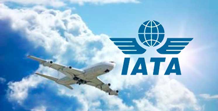 Transport des passagers: La fédération des voyagistes marocains critique l’IATA