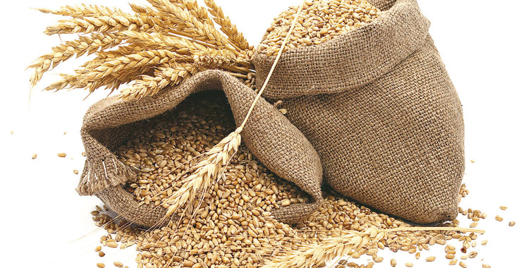 Importation du blé tendre : Les droits de douane augmentent à 135%