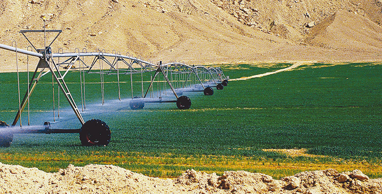 Tarfaya: Un nouveau périmètre irrigué en gestation