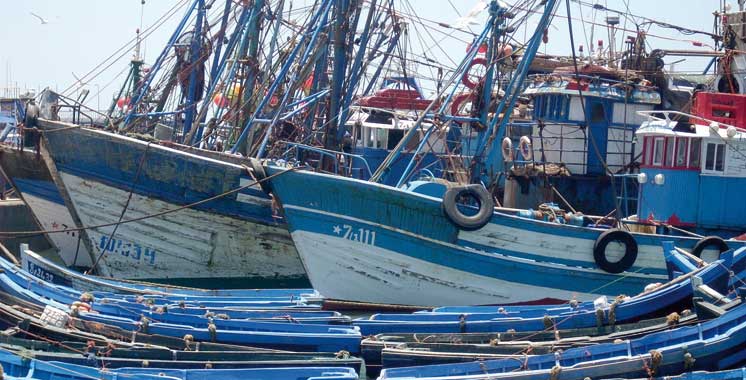 Souss-Massa : Une étude pour l’approvisionnement et la pérennité des ressources halieutiques