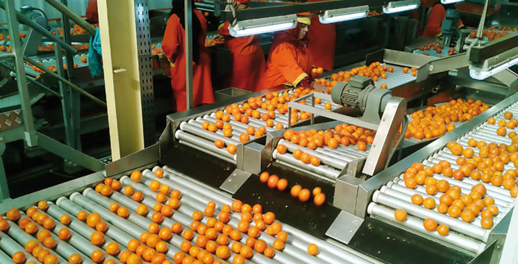 Plus de 21 milliards DH de produits alimentaires exportés à fin avril