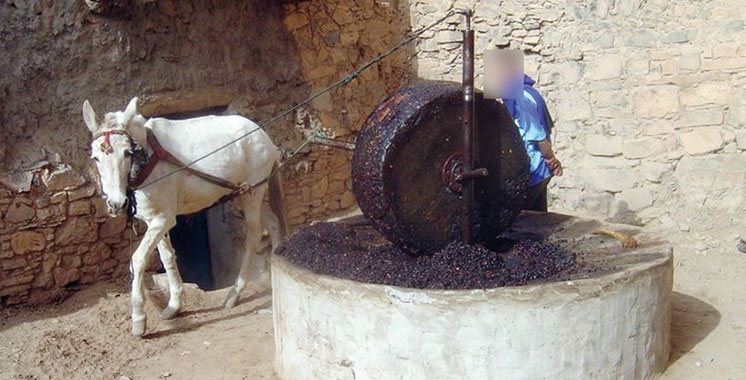 Un jeune tue l’employé d’un moulin et brûle son cadavre