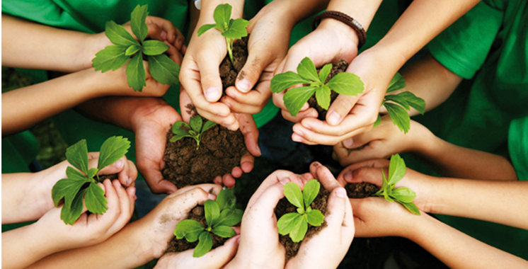 Les engagements écolos du Groupe Crédit Agricole du Maroc