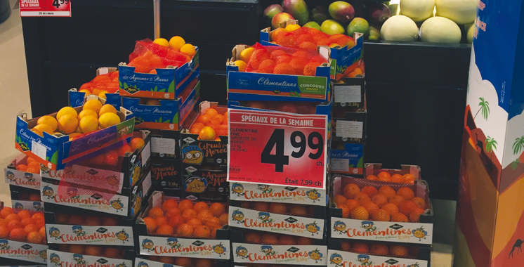 Agrumes: La clémentine marocaine très prisée sur le marché canadien