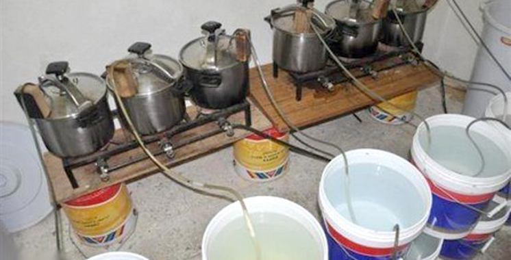 El Jadida : Saisie de 700 litres de «Mahia»